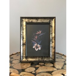 Asseles Fotograf Cercevesi