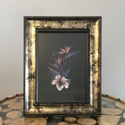 Asseles Fotograf Cercevesi