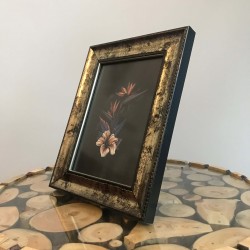 Asseles Fotograf Cercevesi