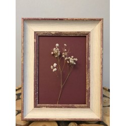 Lessy Fotograf Cercevesi