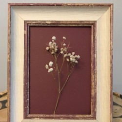 Lessy Fotograf Cercevesi