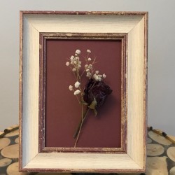 Lessy Fotograf Cercevesi