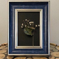 Mavi Fotograf Cercevesi