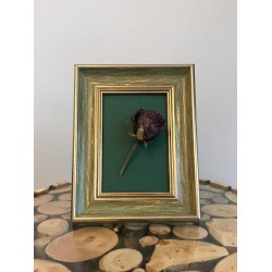 Yeşil Fotograf Cercevesi