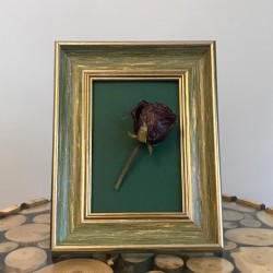 Yeşil Fotograf Cercevesi