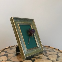 Yeşil Fotograf Cercevesi