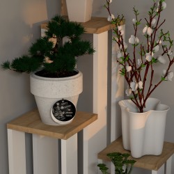 İda Safir Çiçeklik İda Safir Çiçeklik