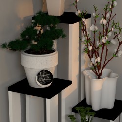 İda Siyah Çiçeklik İda Siyah Çiçeklik